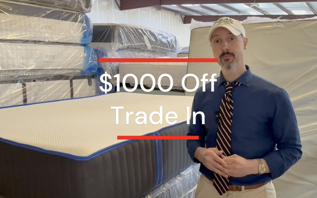 We Cut Open Another Bed in a Box — Here’s What We Found Inside